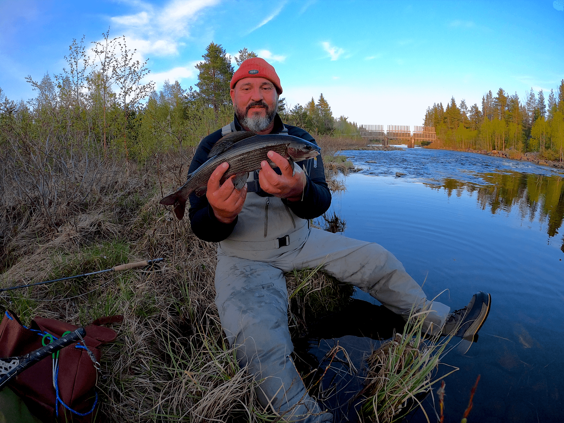 Harr, Lappland